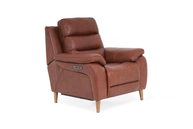 brown leather armchair main view